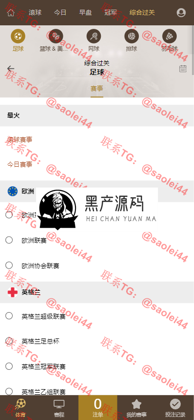 皇冠足球世界杯体育信用盘+带新版老版手机端/足球盘系统/多语言/信誉盘/带手机版/运营版本